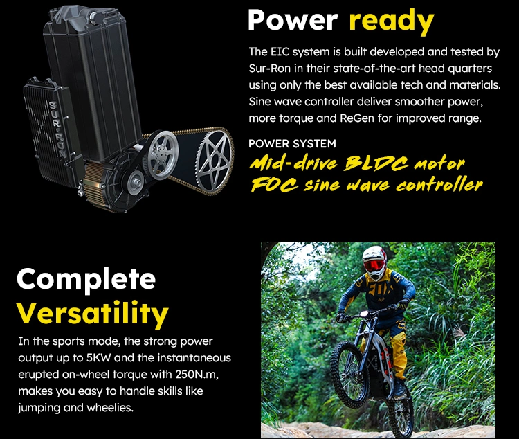 Sur Ron Light Bee X New Arrival Electric Dirt Bike 6000W 60V Road Electric Ebike