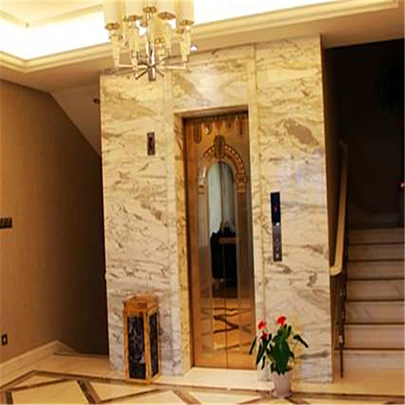 Hot Selling Lift Villa Elevator With Glass Steel Shaft