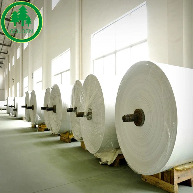 50-120GSM Writing Paper Offset Printing Compatible Printing Woodfree Offset Paper