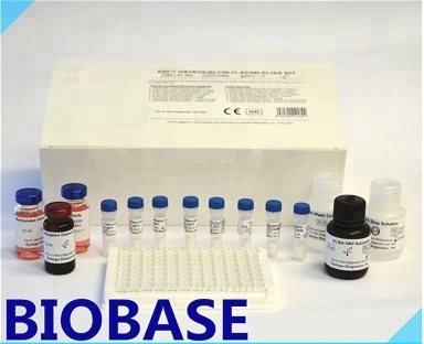 Biobase Clinical Elisa Kits T3 T4 Hormone Rapid Test Kits and Reagents