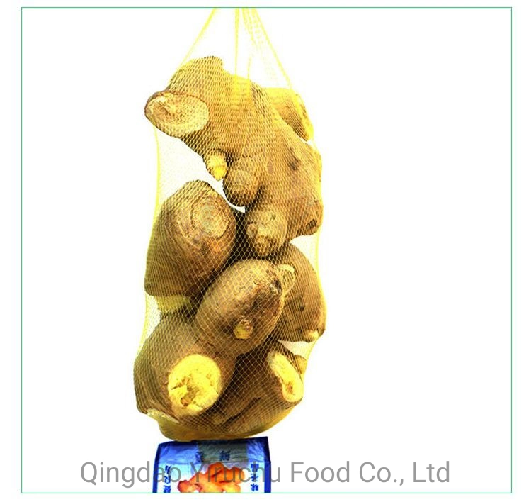 Fresh Ginger Air Dry Ginger with Top Quality From China
