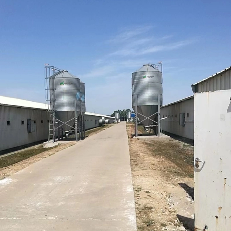 Fabricants d'élevage animal fournissent directement des silos d'alimentation pour poulets.