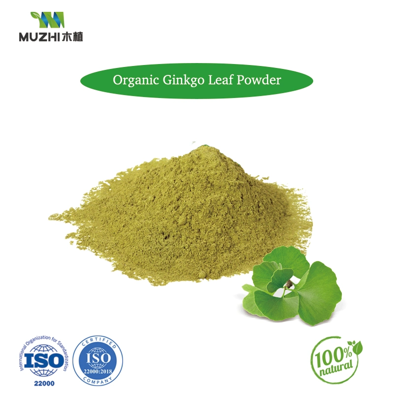 Pumpkin Seeds Protein Powder Additive