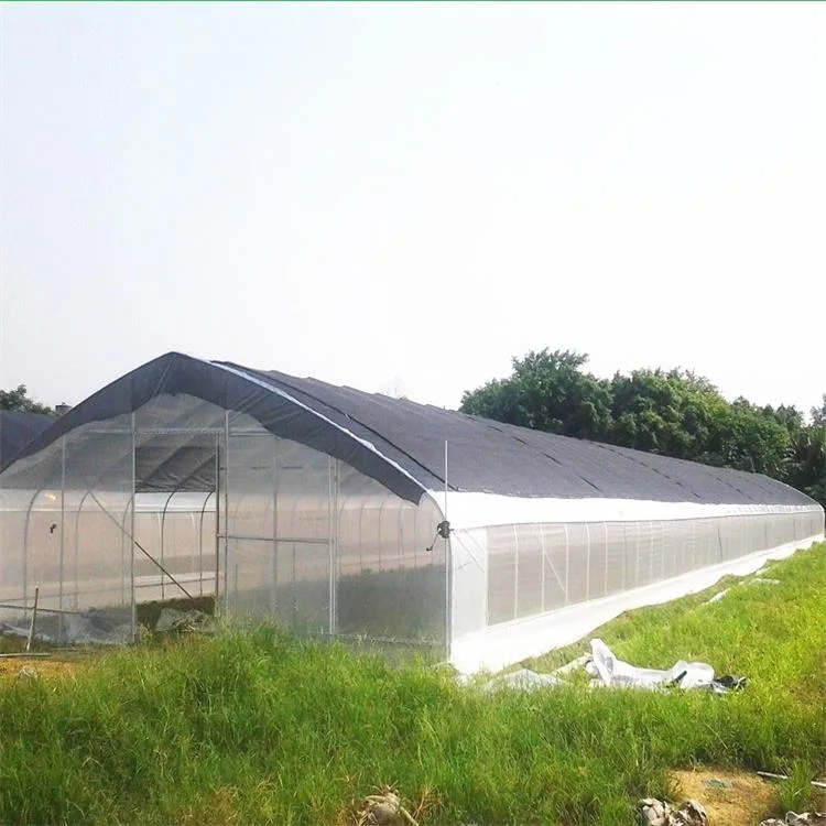 Hot Sale Single Span Poly Tunnel Film Greenhouse Sunlight Hydroponics Green Houses for Lettuce/Tomato/Cucumber/Pepper/Flowers/Fruit/Eggplant/Vegetables/Mushroom