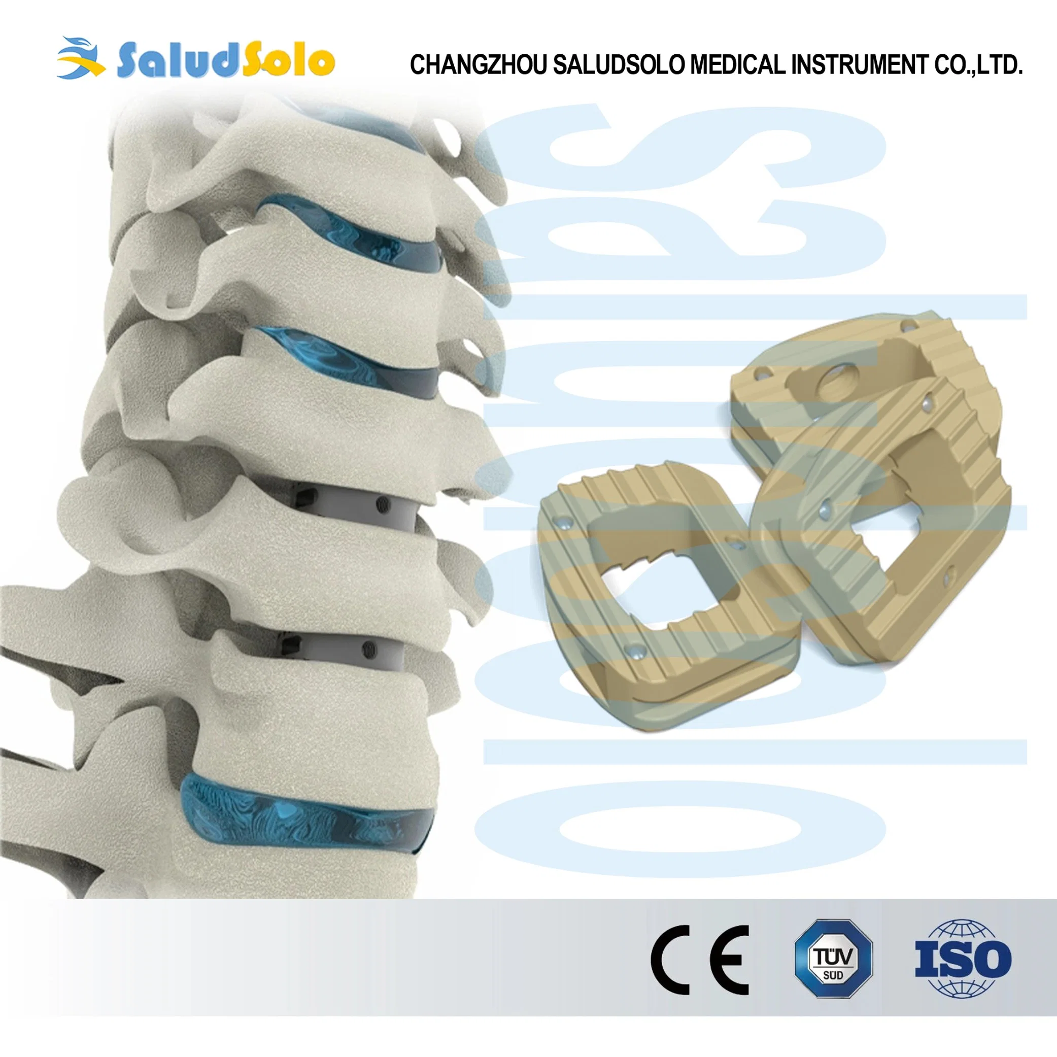 Cervical Intervertebral Fusion Cage System, Peek Orthopedic Implant for Spine Surgery, CE&ISO Certified