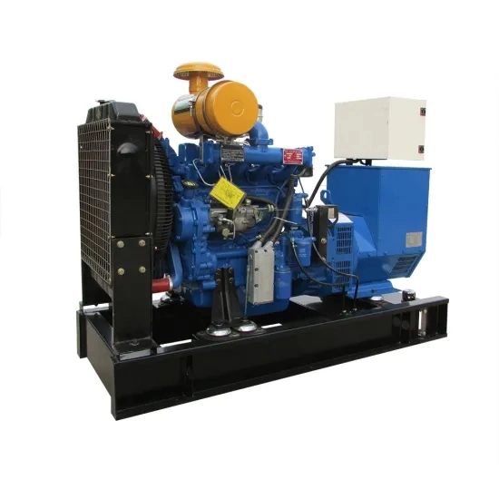 Ce Arppoved Methane Nature Gas Generator