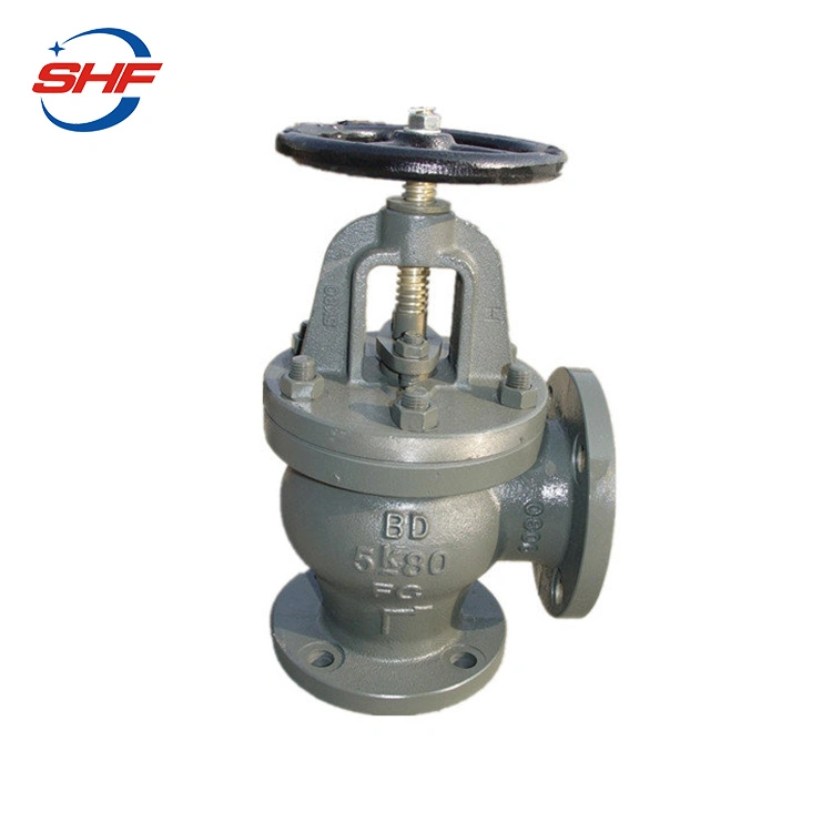 DIN Approved DN250 Pn25 Wcb Casting Globe Valve