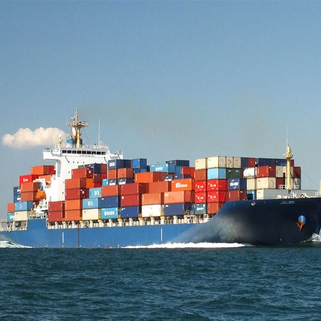 Professional Sea Ocean Agent with Wholesale/Supplier Sea Freight From China to Rotterdam Netherlands