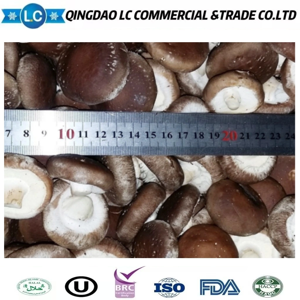 Factory Direct Sales Organic Cultivated Frozen Fresh Shiitake Mushroom