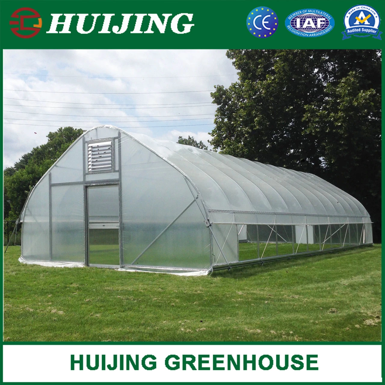 Hot Sale Polytunnel Single-Span Plastic/Film/PC Greenhouses for Agriculture