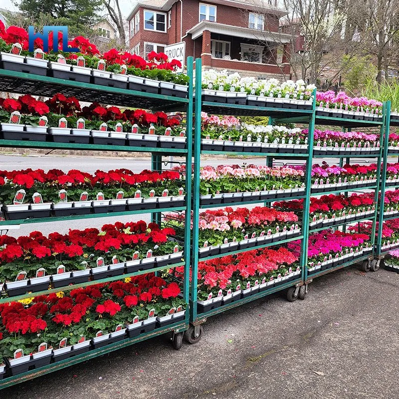 Metal Galvanized Horticultural Garden Danish Plant Nursery Transport Cc Trolley