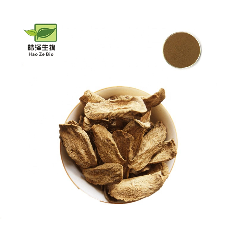 Pure 100% Natural Burdock Root Burdock Root Natural Burdock Root Extract Powder