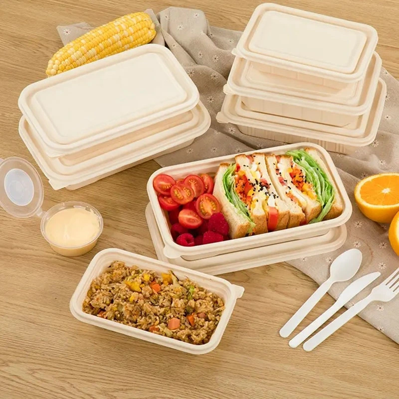 Biodegradable Corn Starch Food Container Take Away Food Environmental Lunch Packing Box