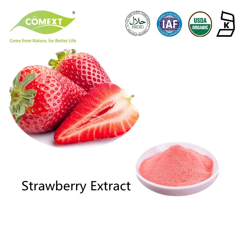 Comext Wholesale/Supplier Bulk Price Spray Dried Water Soluble Strawberry Juice Powder Extract