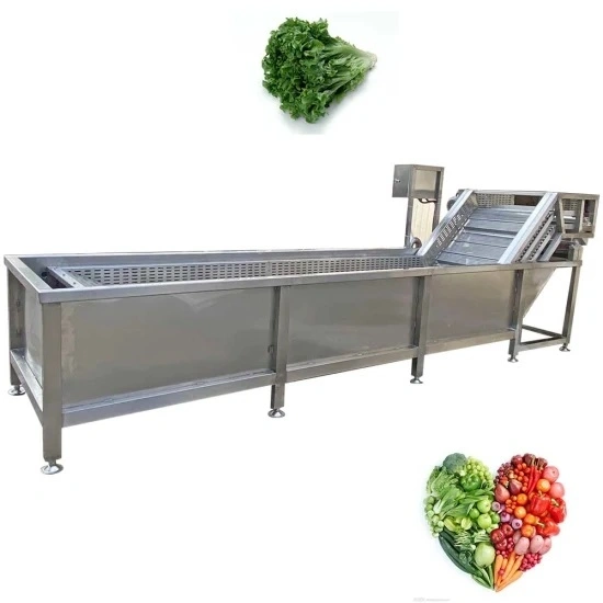 Fruit & Vegetables Bubble Cleaning and Washing Machine Conveyor Belt Washer