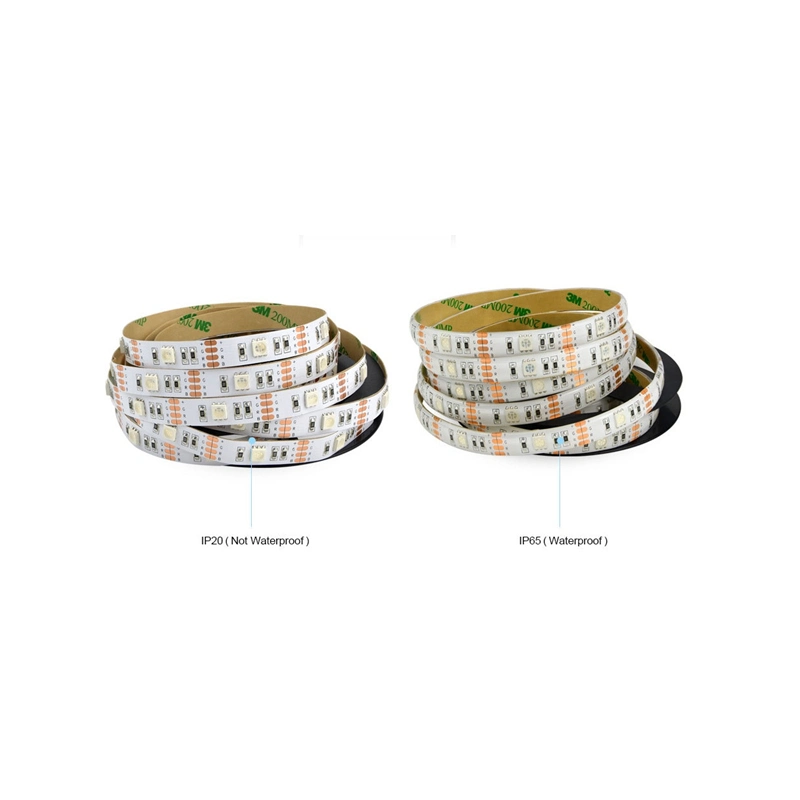 Programmable 12V Waterproof Magic SMD 5050 Remote Backlight Flexible LED RGB Strip