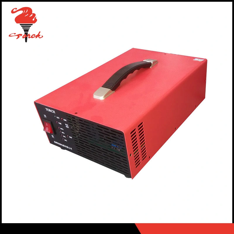 Lead Acid Lithium Ion Battery Charger