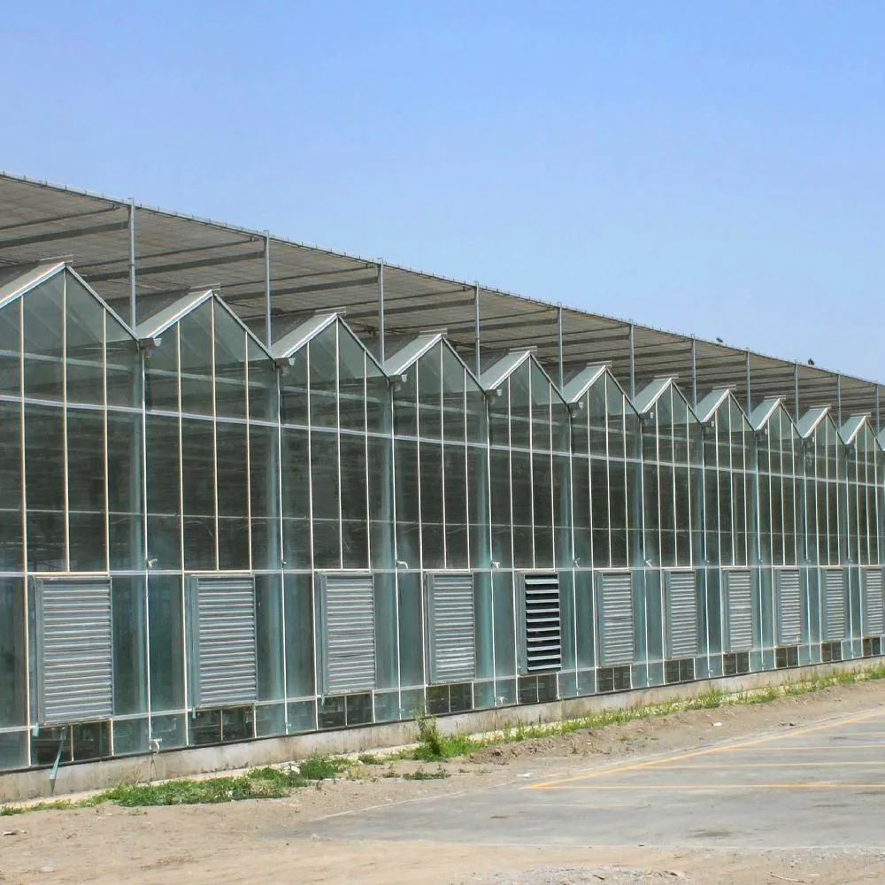 Glass Green House Greenhouse Manufacturers with Temperature Control System/Fan/Seedbed/External/Internal Shading