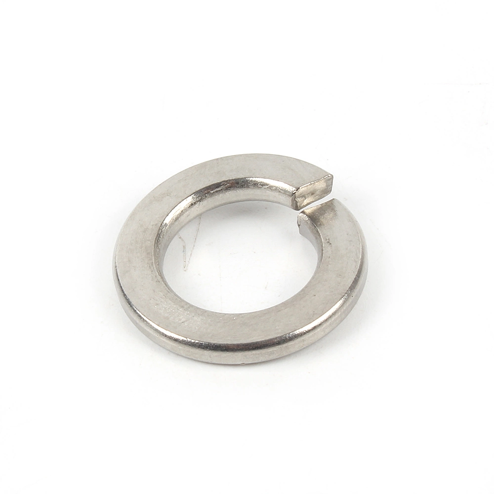 Factory Stainless Steel Spring Washers