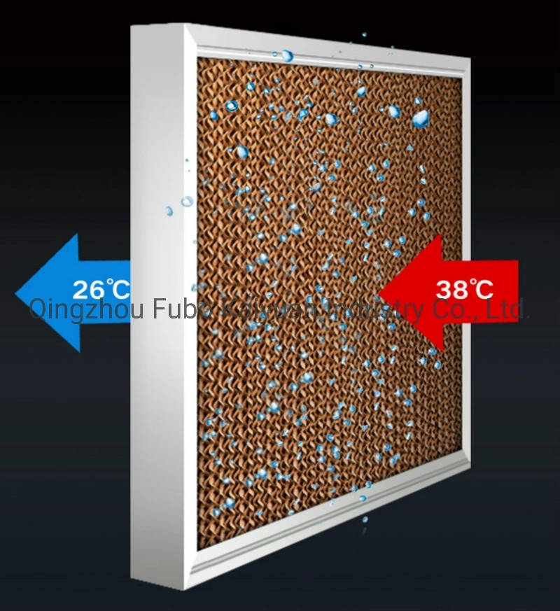 Agricultural Evaporative Cooling Air Cooling System in Greenhouse/Poultry Equipment