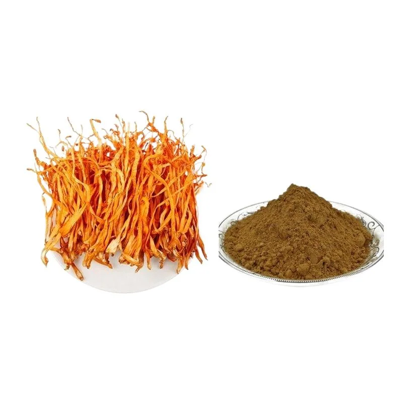 Factory Supplying Cordyceps Extract 30% Polysacchrides Mushroom Extract