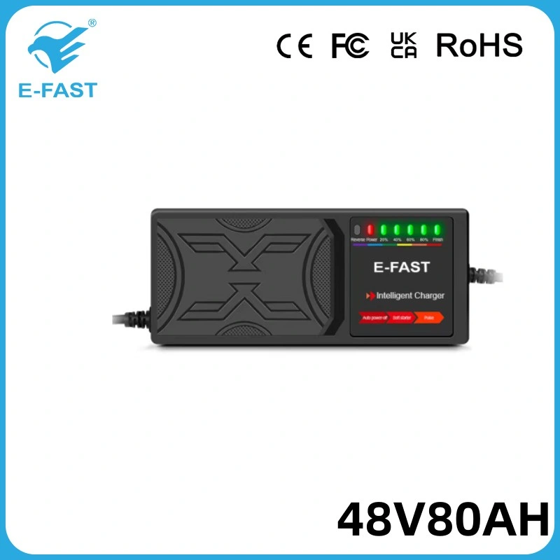 48V80ah Lead-Acid Start Stop Rechargeable Pulse Battery Charger for E-Bicycle Scooters