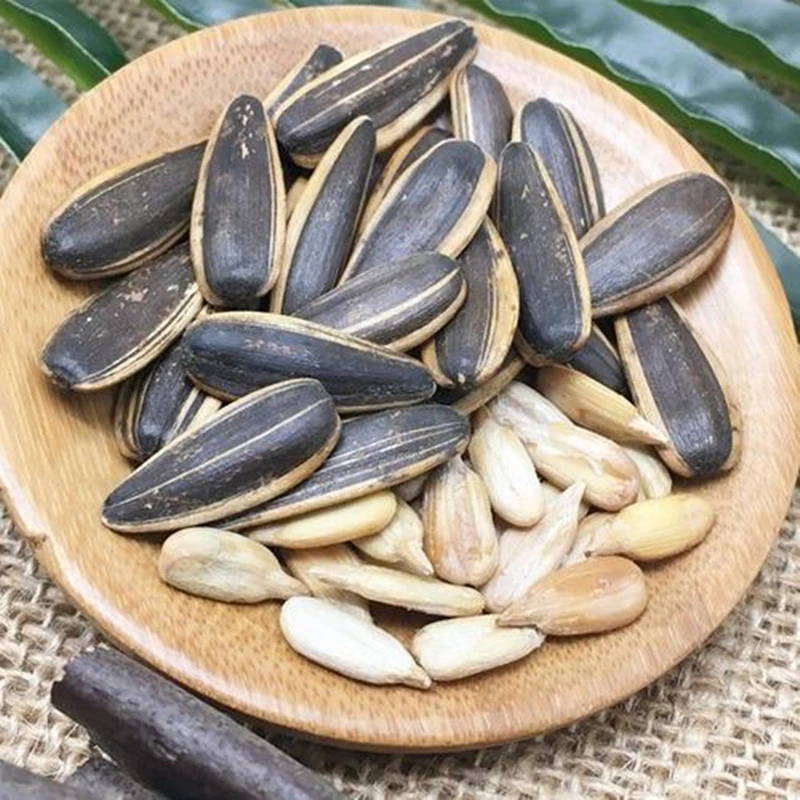 Raw Big Size New Crop Sunflower Seed at Low Price