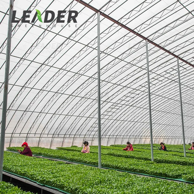 Agricultural 200/150 Micron Po Plastic Film Greenhouse Covering Materials in China