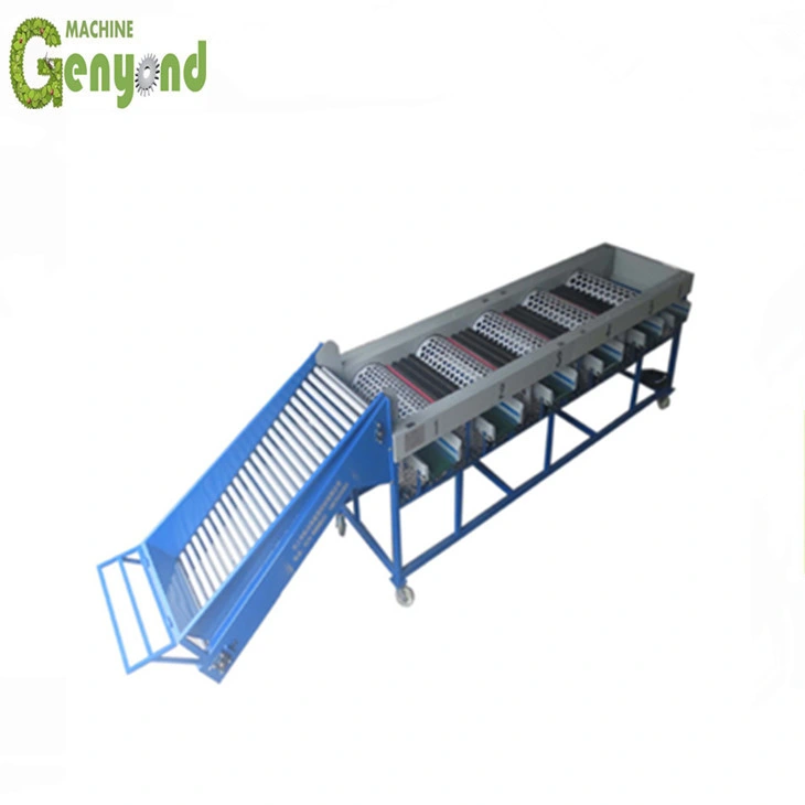 Original Factory Industrial Potato Sorting Machine