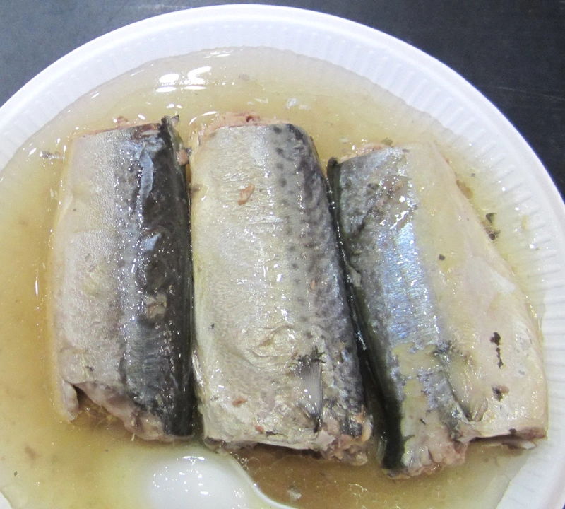 Mackerel Fish Canned Mackerel in Brine 425g in Wholesale/Supplier Price From China