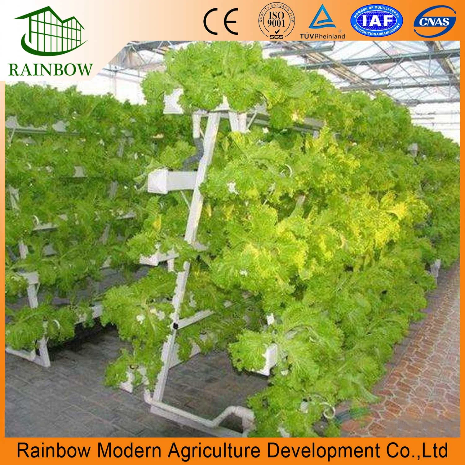 Hydroponic System Nft Hydroponics Nft System