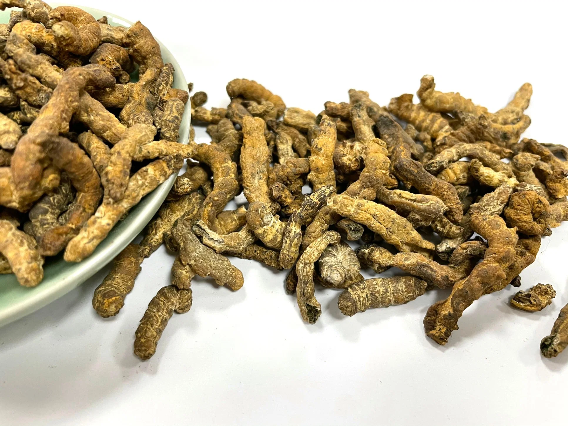 Chao Jiang Can Bombyx Batryticatus Hot Sale Chinese Traditional Herb Dried Fried Herbal Medicine