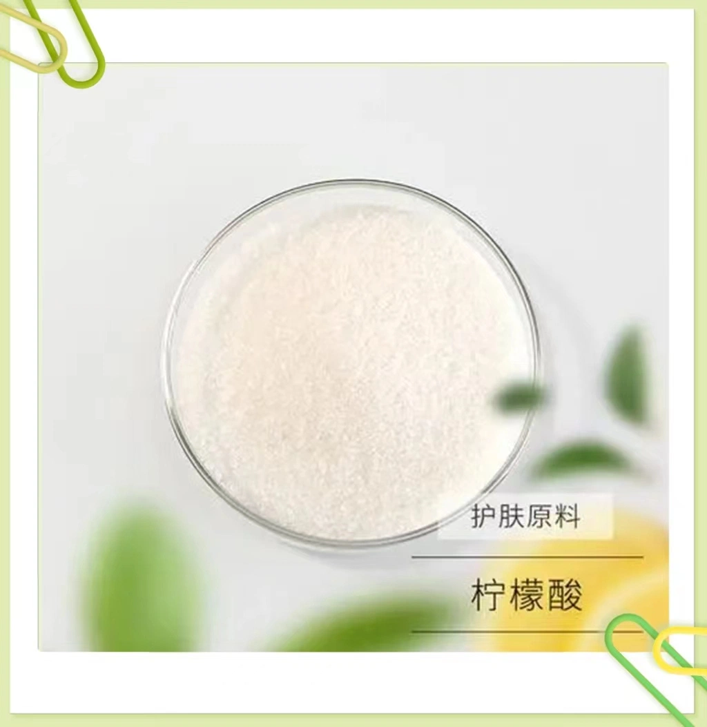 Bulk Bags for Sale Organic Powder Food Grade Produced Citric Acid