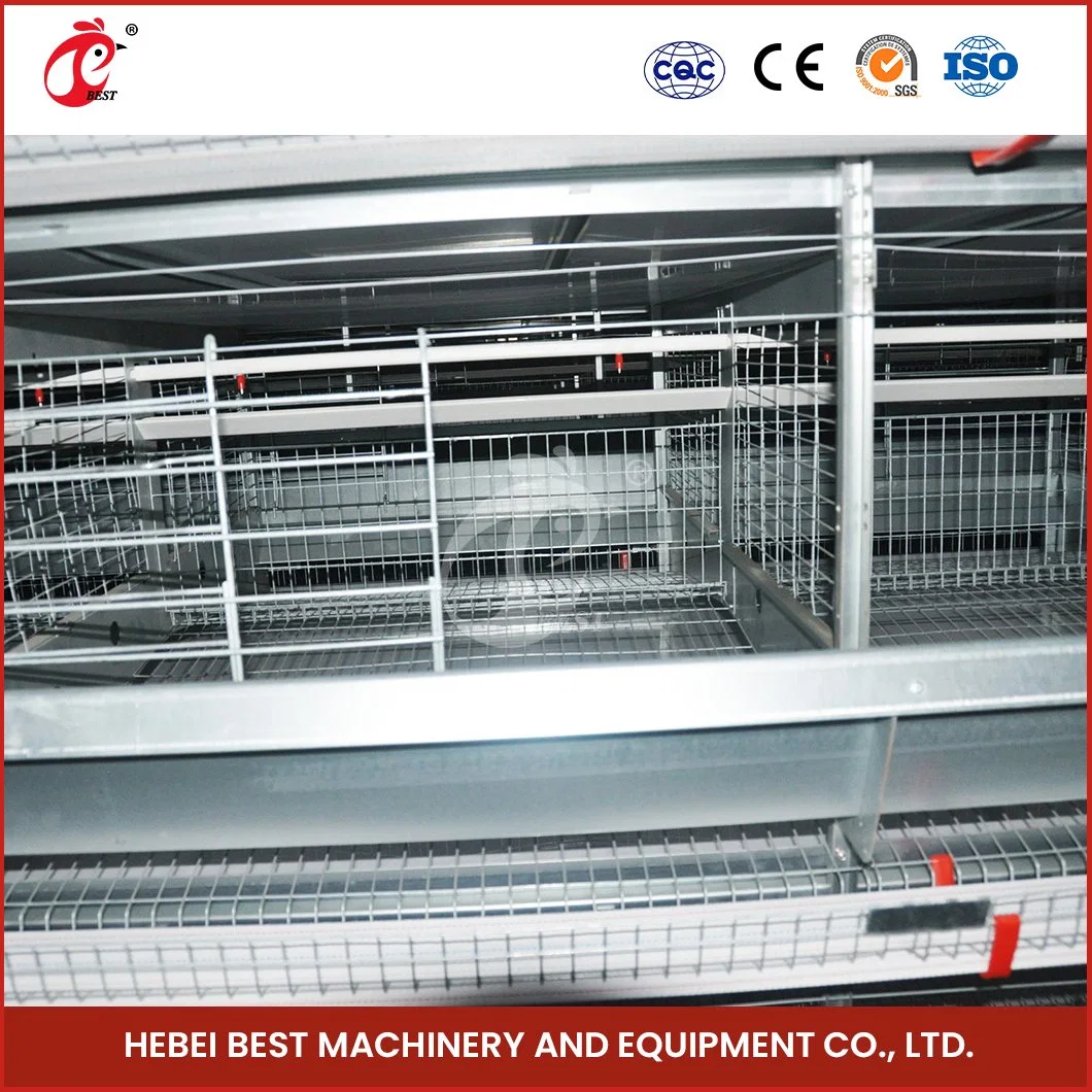 Bestchickencage China Wholesale Hen Coop Manufacturer H Frame Automatic Boriler Cages ODM Custom Good Ventilate DIY Cage for Chicken