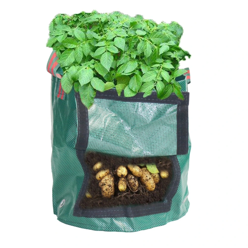 Plastic PE Growing Bag Plant Container Waterproof, Anti-Mildew Resistant to High Temperature High quality/High cost performance  Potatao Vegetable Growth Bag