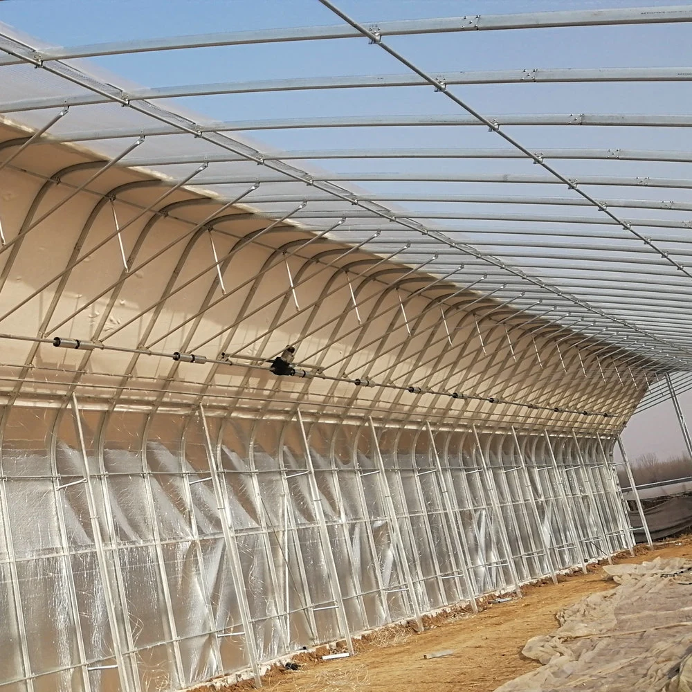 Hot DIP Galvanized Steel Skeleton Easy Install Film Solar Sunlight Greenhouse for Cold Area