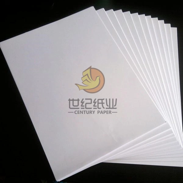 Fbb Paper Board/ Two Side White Cardboard Ivory Paper Board/ Ningbo Fold/Allyking