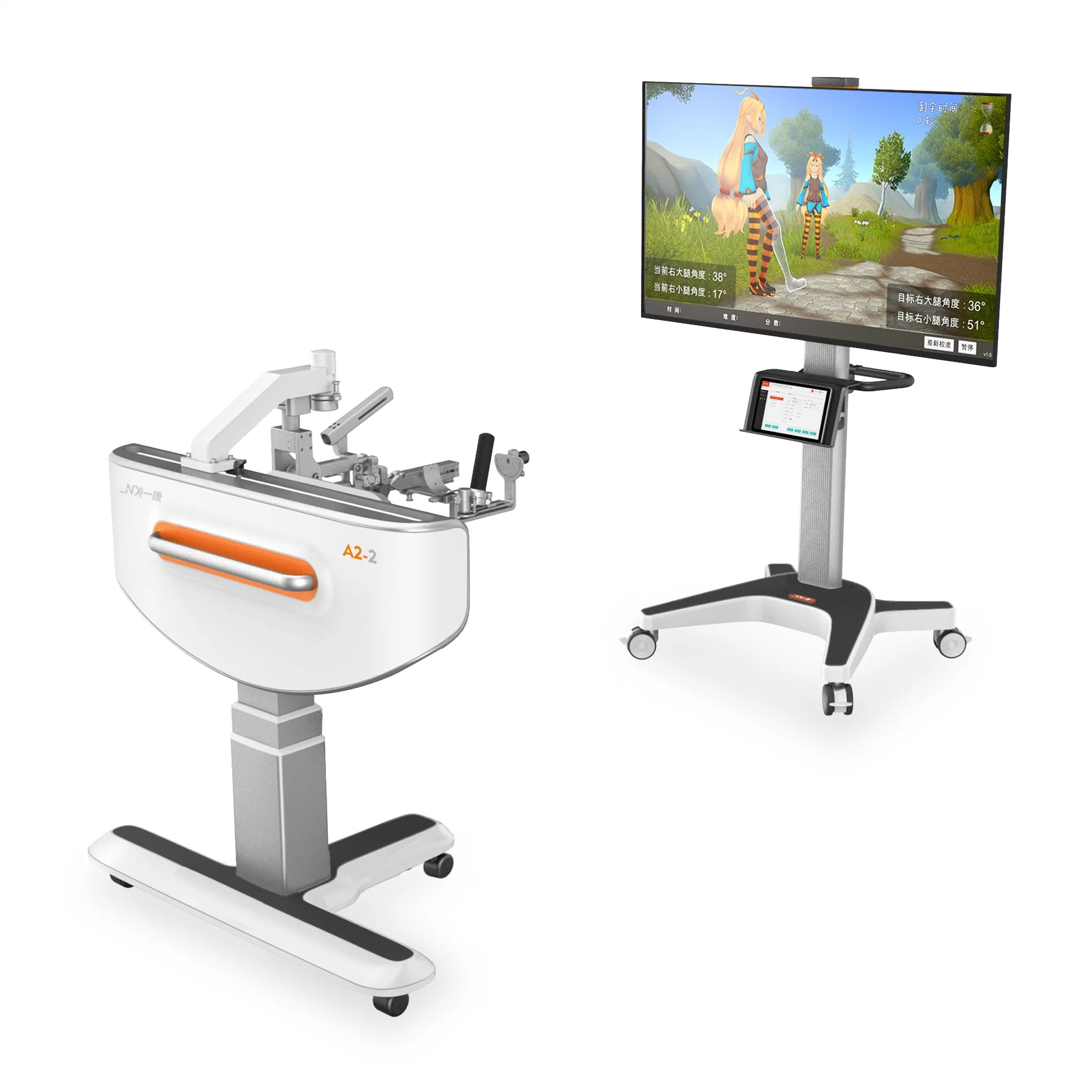 Wholesale/Supplier Distribution Price Physiotherapy Equipment for Shoulder Elbow Rehabilitation