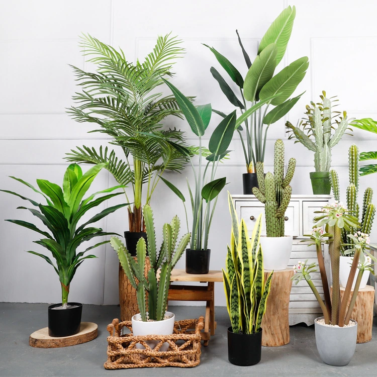 Décoration d'intérieur artificielle Fausse plante en pot de figuier, palmier, monstera, agave et bonsaï arbre artificiel de banian.