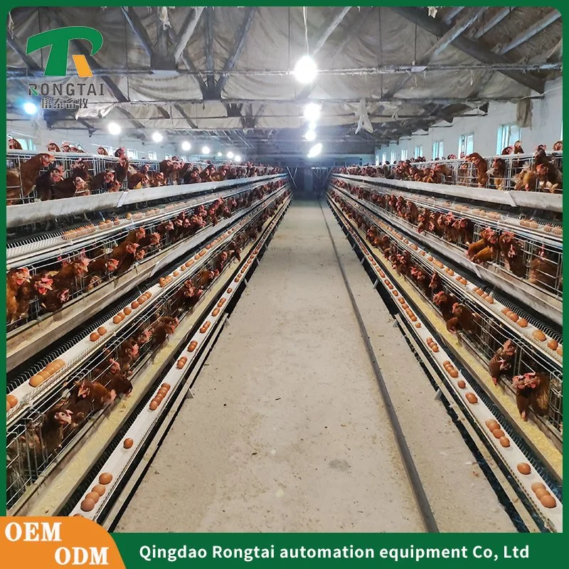 Hot DIP Galvanized Battery Poultry Farm a Frame Manual Layer Chicken Cage