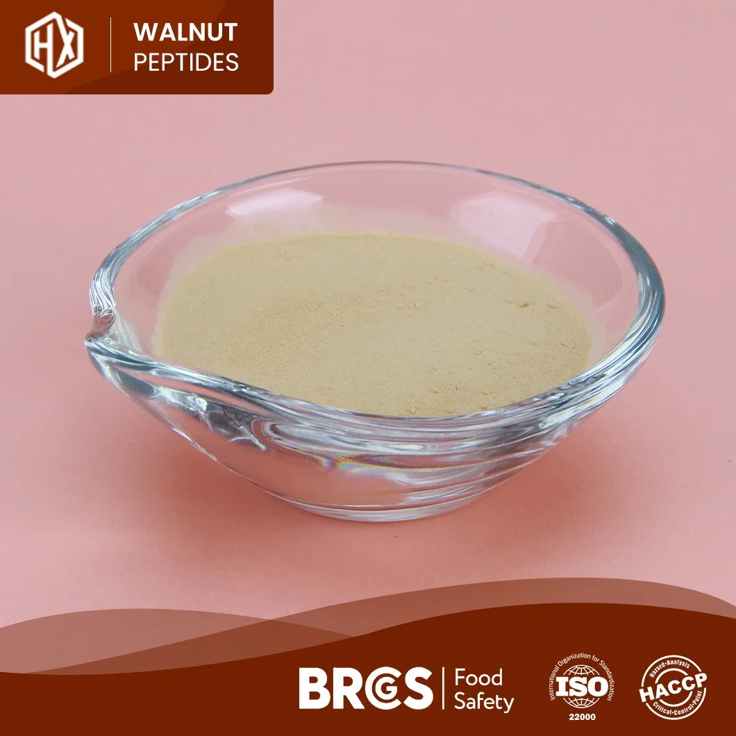 Haoxiang Soluble en agua de alta pureza péptido molécula pequeña nuez OEM Custom Wholesale/Supplier China péptidos de nuez de grado alimenticio en polvo para Skin-Whitening Anti-Wrinkle