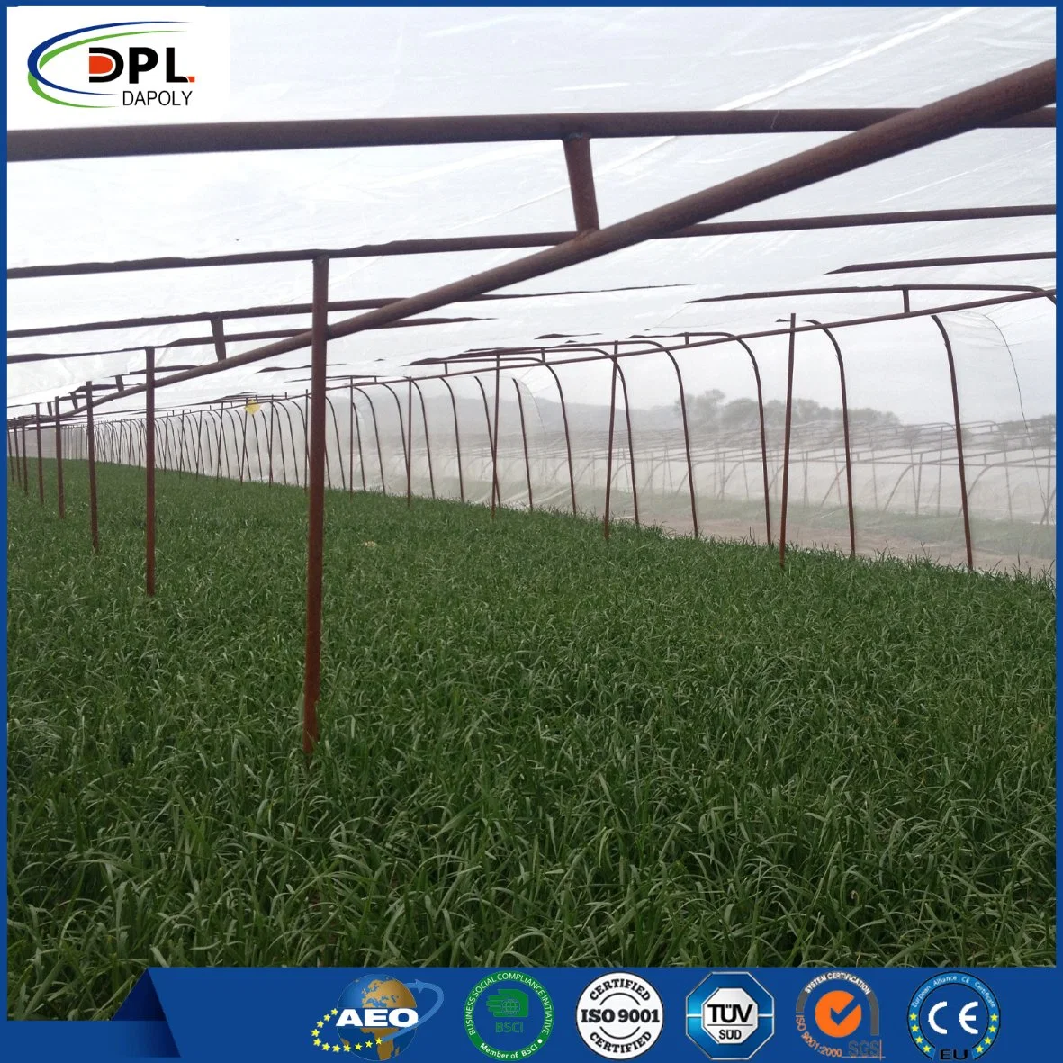 125GSM Garden Insect Netting for Pest Agricultural Bug Proof Net