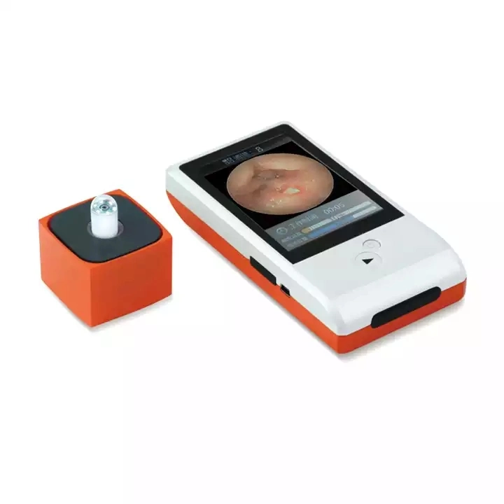 Small Intestinal Capsule Endoscope Price Wireless Video Capsule Endoscope Camera