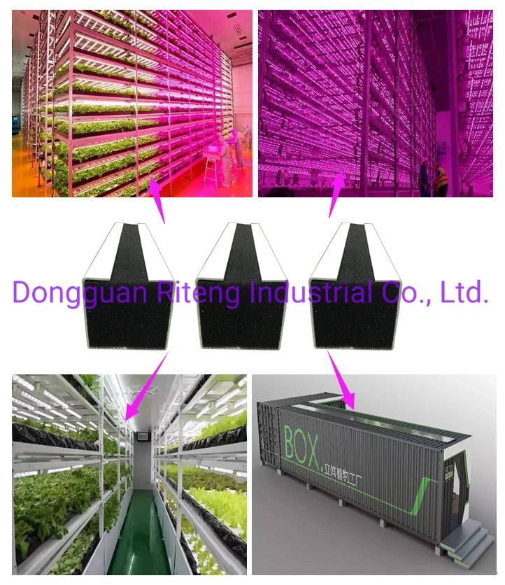 El cultivo hidropónico Nft utilizados para la granja Vertical Canaleta creciente /PVC plantar a través de la siembra de efecto invernadero