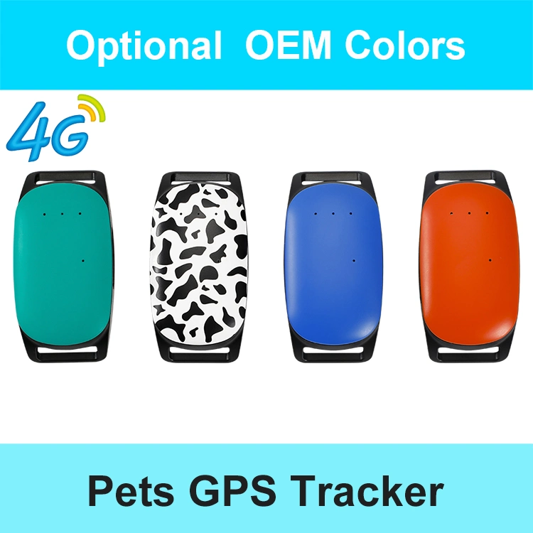 Factory supply 4G LTE newest waterproof pet GPS tracking device with real time free APP for dog cat animal Y34