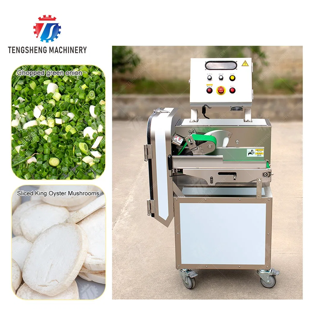Machine de découpe automatique de fruits et légumes pour la transformation en tranches.