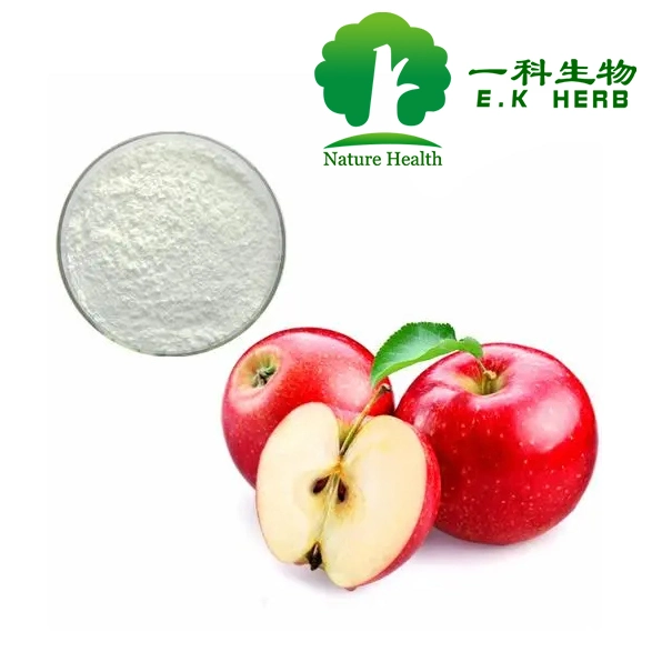 E. K Herb ISO & Kosher & Halal Certified Manufacturer Natural Skin Care Raw Material Phloretin 98% 99% Phloridzin Polyphenol Apple Extract CAS 60-82-2