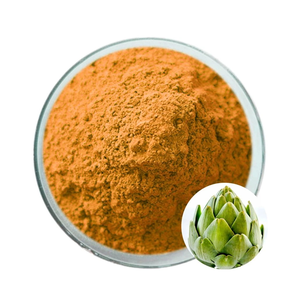 Plant Extract Cynarin Organic Artichoke Extract Powder for Food Supplements