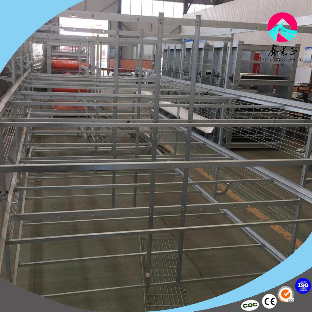 Automatic Galvanized Relible Broiler Cage for Poultry House