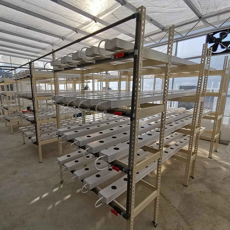 Commercial Hydroponic Nft a Frame Structure Growing System for Vegetables